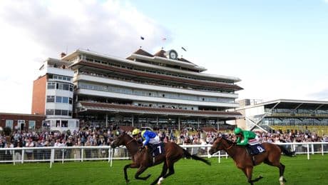 Saturday horse racing tips: Free tips and odds for Newbury and Ripon