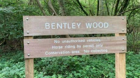 Manhunt on for naked dog walker traumatising Salisbury village