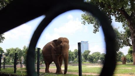 Il Vietnam tigre asiatica fa i conti con la trappola del reddito medio