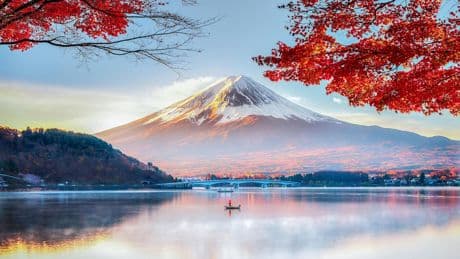 Ikigai: Die fünf Säulen eines wahrhaft glücklichen Lebens
