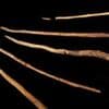 Jagdwaffen der Neandertaler: Wie alt sind die Schöninger Speere?