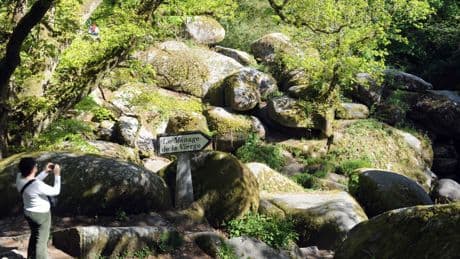 Bretagne : une cycliste se tue en percutant le mur d’un Ehpad