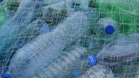 Microplastiche dannose per il cervello, le ingeriamo senza accorgercene. Quali sono i rischi per la salute? Lo studio americano