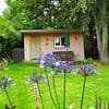 Furious couple forced to close tiny £85-a-night holiday home in their garden due to 'barmy' council decision