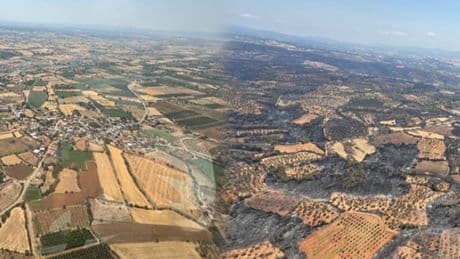 Çanakkale'de kahreden manzara! Köyler küle döndü