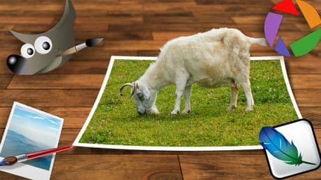 Photoshop-Alternativen kostenlos: Die besten Gratis-Bildbearbeiter