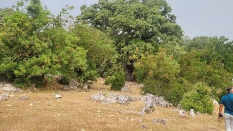 ‘Mermer ocağı ÇED yükümlülüklerinden kaçırılmak isteniyor’
