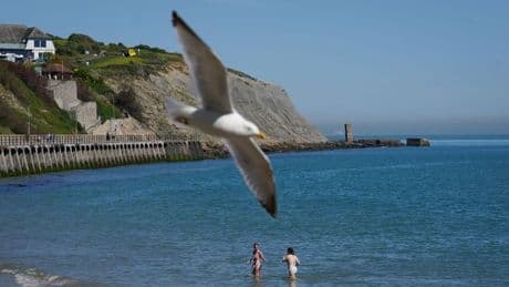 UK weather: Mercury to hit 30C earlier in 2025 than ever before in history says Met Office