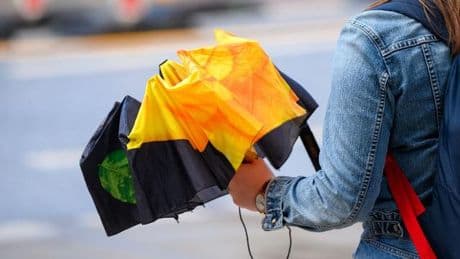 Wetter: Gewitter, Sonne, Regen – Wetter im Norden bleibt wechselhaft