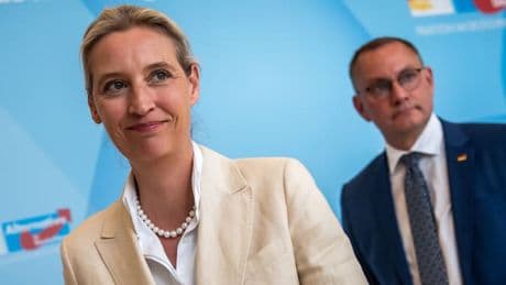 AfD erreicht in Umfrage höchsten jemals gemessenen Wert – Linke verliert