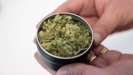 Neues Cannabis-Gesetz: Cannabis-Club startet mit Ausgabe in Oranienburg