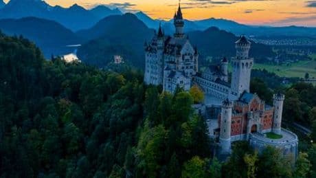 Hund im Schließfach: Touristin sperrt Tier in Wertsachenbox und besucht Schloss Neuschwanstein