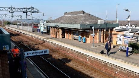 Woman shocked to discover dead snake in road outside Scots train station