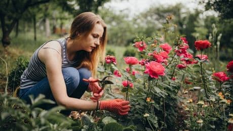 UK households urged to do one thing before splashing out cash on garden