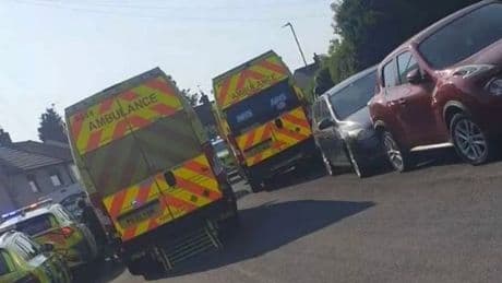 Toddlers savaged by bulldog in horror garden attack as animal to be destroyed