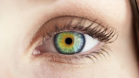 Durchbruch in der Augenforschung: Forscher machen neue Farbe "Olo" sichtbar