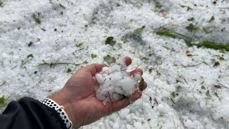 Schwere Unwetter im Südwesten - Hagel, Starkregen und Sturmböen
