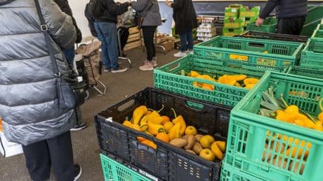 Le taux de pauvreté n’a jamais été aussi élevé depuis 1996 selon l’Insee : « Le ruissellement, ça n’a pas marché ! »