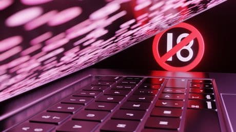 Protection des mineurs : le Conseil d’État déboute les sites pornographiques