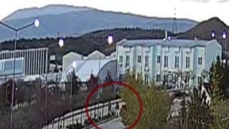 Köpeklerden kaçarken duvardan düştü