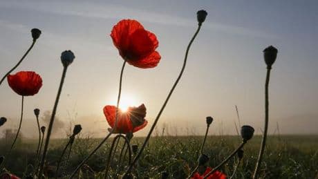 Wechselhaftes Wetter: Wieder mehr Sonne im Südwesten