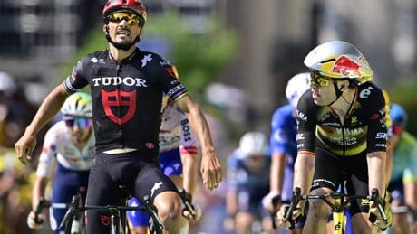 VIDEO Pijnlijk! Julian Alaphilippe denkt dat hij Tour-etappe wint, maar wordt derde: ’Hij is niet de slimste’
