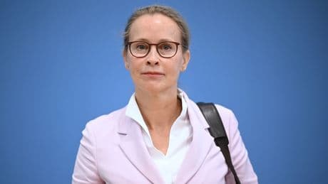Experten über Doktorarbeit - „Das ist ganz sicher kein Zufall“