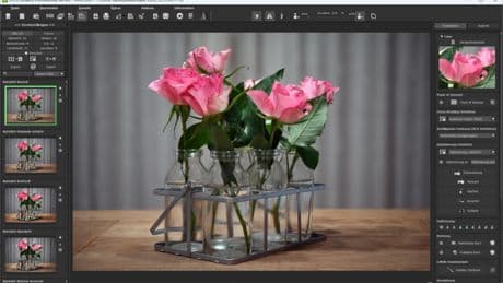 Focus Projects Professional 4 – Kostenlose Vollversion