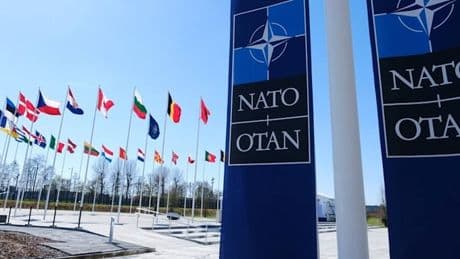 Eine affärengeschüttelte Nato kämpft mit sich selbst