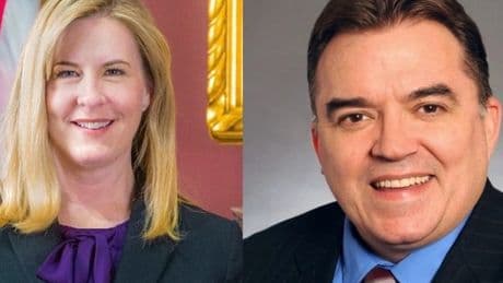 Minnesota politician shot dead by 'person pretending to be police officer'
