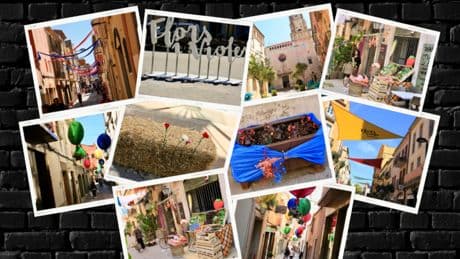 El festival Flors i Violes, en imágenes
