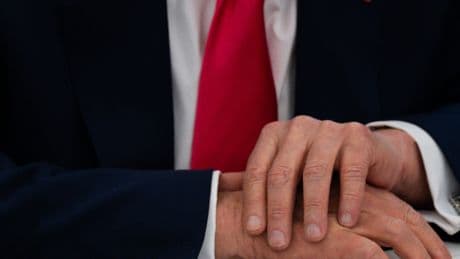 Corporate America’s Newest Activist Investor: Donald Trump