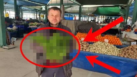 Dağların tepelerinde yetişiyor, 1 ay görünüp sırra kadem basıyor! Doğanın mucizesi: Kısa sürede toplama rekoru kırıyor