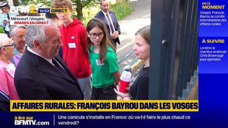 "Botcup": une lycéenne lance un défi à François Bayrou dans les Vosges