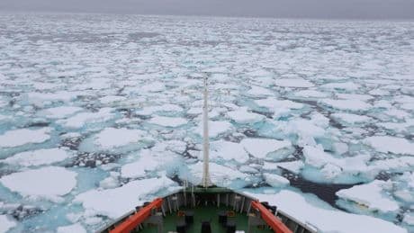 Pechino muove cinque navi verso l'Alaska: perché è alta tensioni con gli Usa