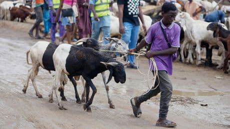 Muslims look forward to the annual Eid feast. Many Africans are now struggling to afford it