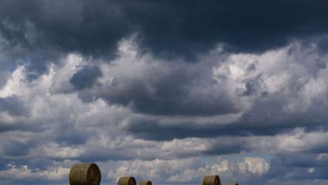 Wetter: Regen in Sicht