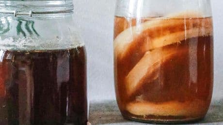 Tres alimentos con K, con hongos y de moda en España: los beneficios del kéfir, koji y kombucha