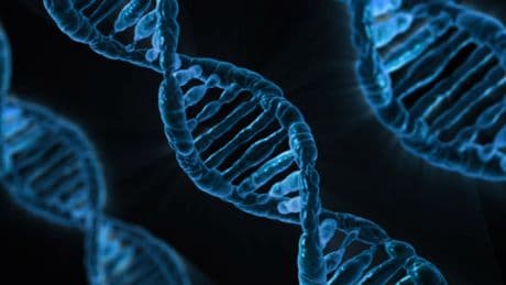 La ingeniería genética abre una nueva vía para evitar la extinción de especies amenazadas