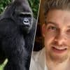 KIJK. “Honderd mannen winnen niet van één gorilla, zo simpel is het”: bizarre vraag zorgt voor verhitte discussies op sociale media