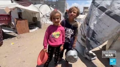 'Gaza not comparable to other war zones, the need is so high'