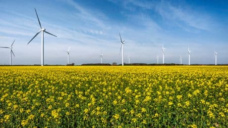 German state-owned energy giant to build major wind farm in Scotland