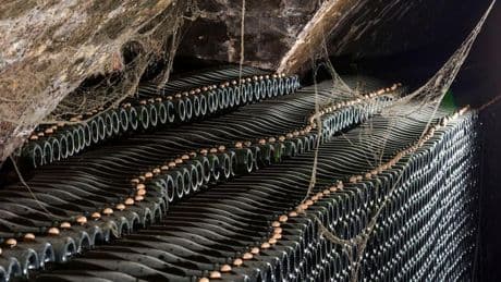 Vinos espumosos con sello familiar y ecológico