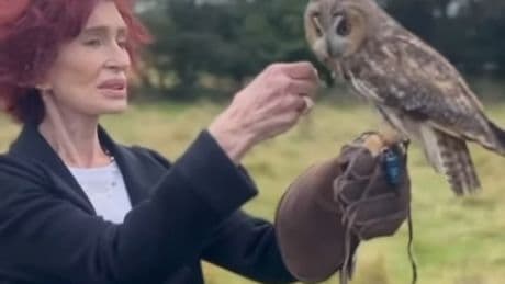 Widow Sharon Osbourne seen holding owl in her first appearance since Ozzy Osbourne’s funeral: ‘We’ve missed you’
