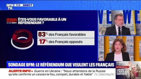 Sondage BFM : le référendum que veulent les Français - 11/05