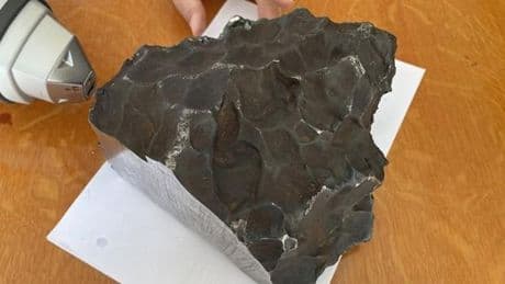 Mars'tan düşen gök taşı rekor fiyata satıldı