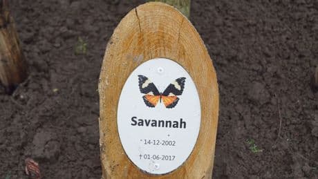 Rechtbank zet jeugd-tbs van man die Savannah (14) doodde om in tbs met dwang