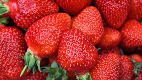 Alltagswissen: Sind Erdbeeren Obst, Gemüse oder Nüsse?