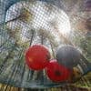 Quatre parcs d’attractions « slow tourisme » à découvrir dans le Morbihan
