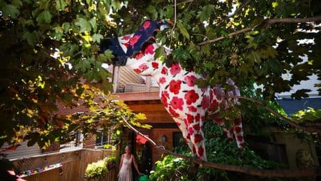 When moose took over Toronto: Artists reflect on city art project, 25 years later